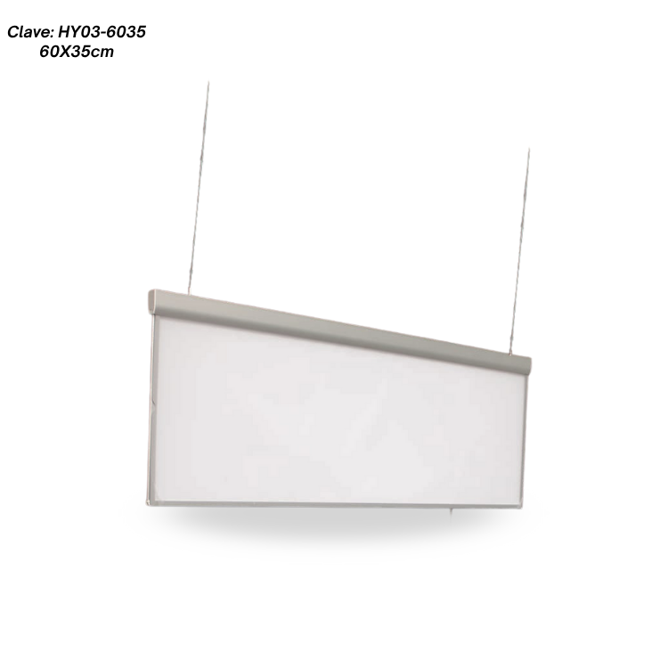 COLGANTE MARCO PLATA DOBLE VISTA 60X35CM